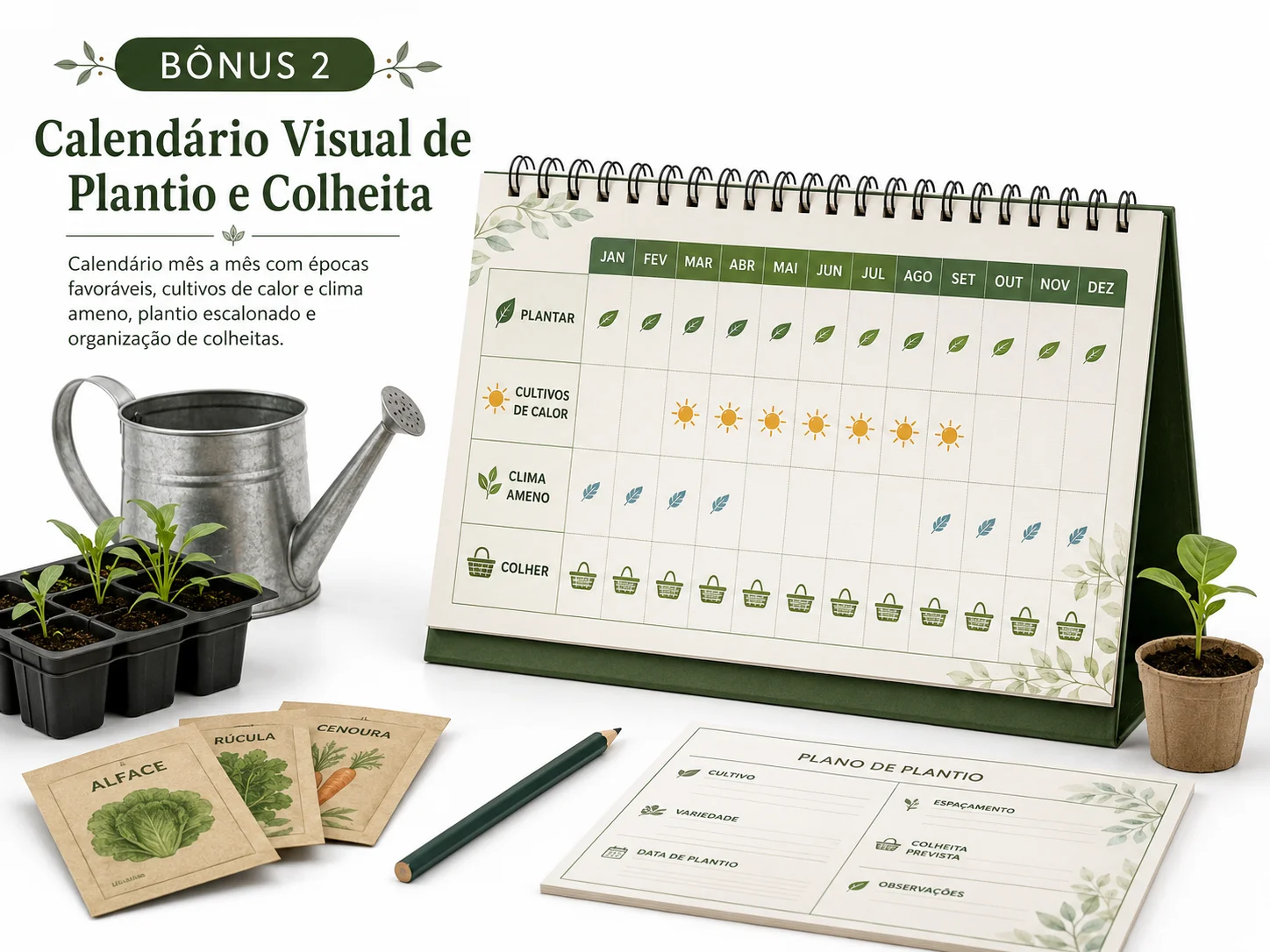Bônus 2: Calendário Visual de Plantio e Colheita