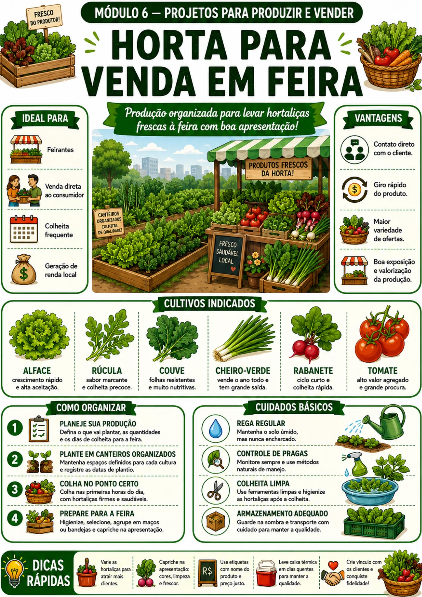 Página do guia: horta para venda em feira